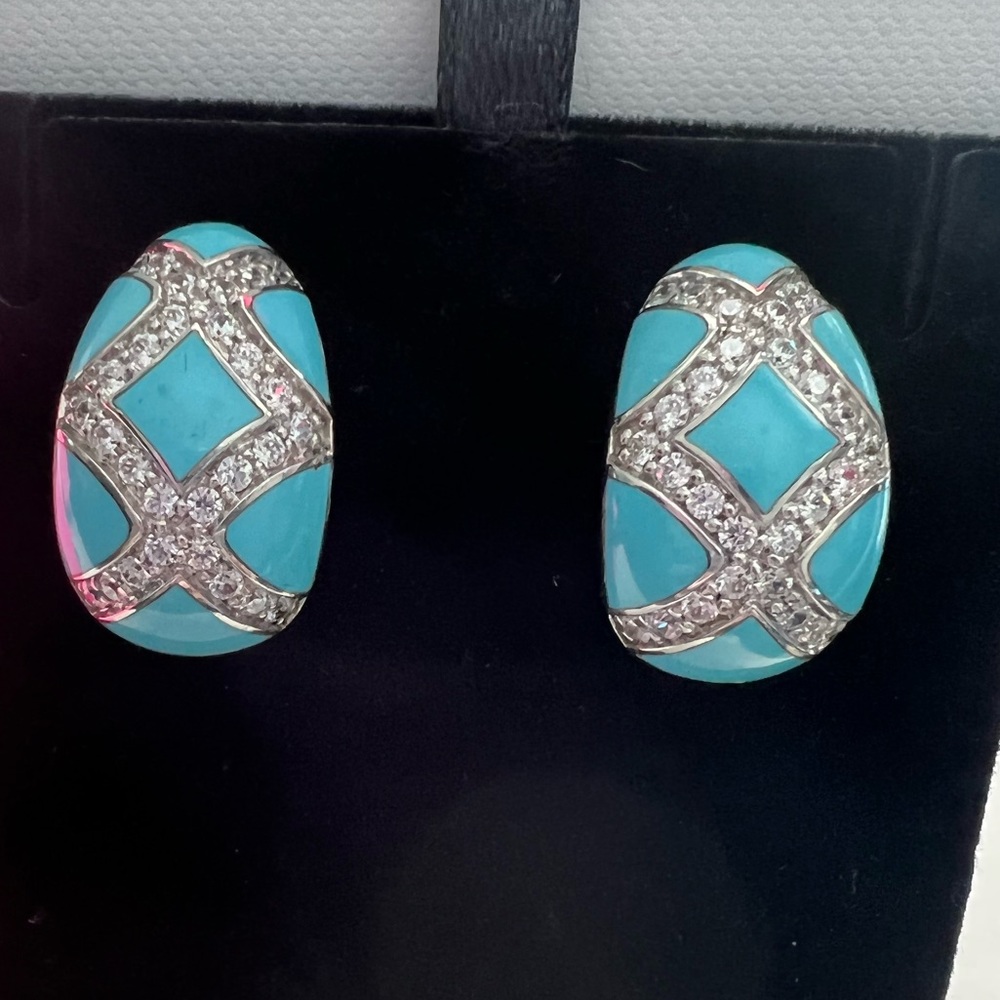 Sterling silver enamel earrings
